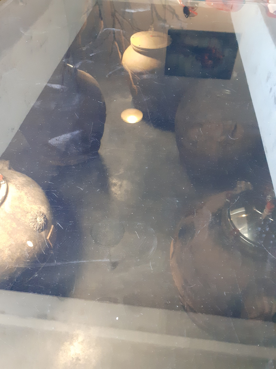 Ecu アンフォラ室