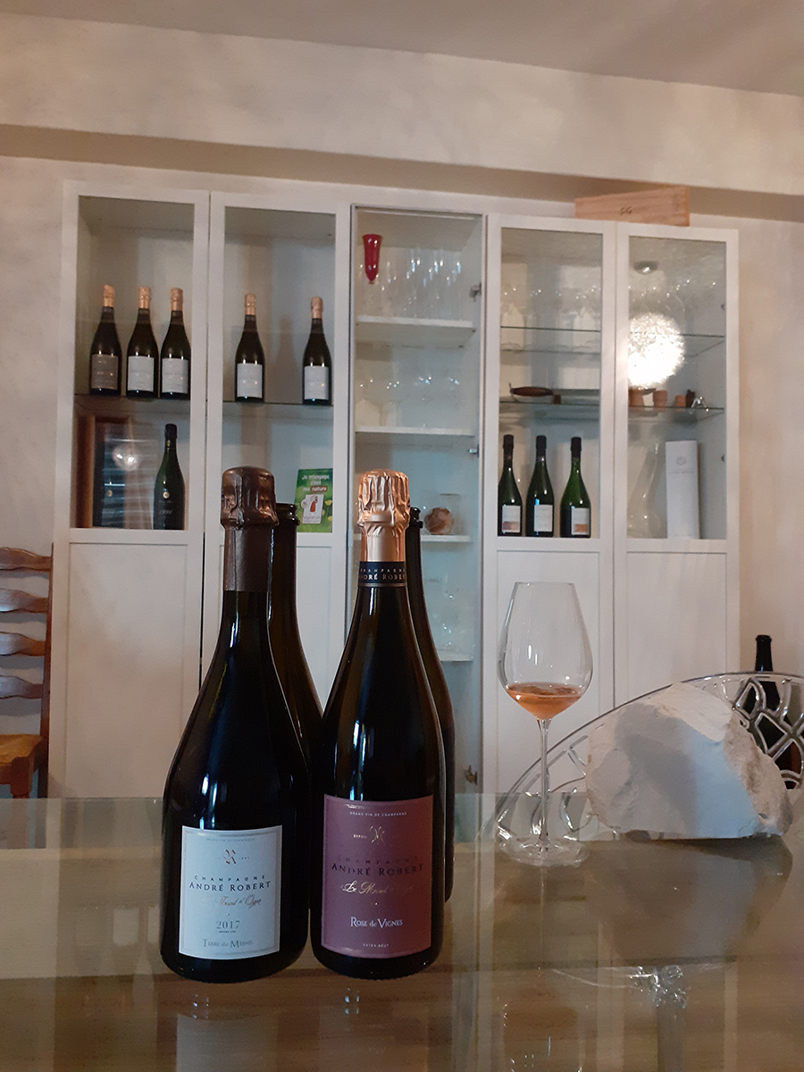 Terre du Mesnil 2017 と Rosé と 白亜